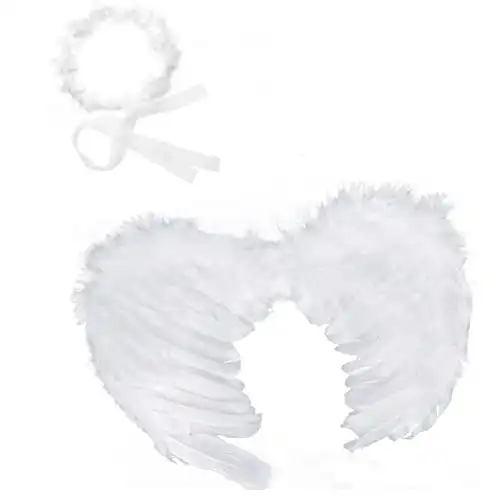 Feather Wings and Halo Headband