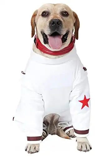 Spacedog Cosplay Outfit