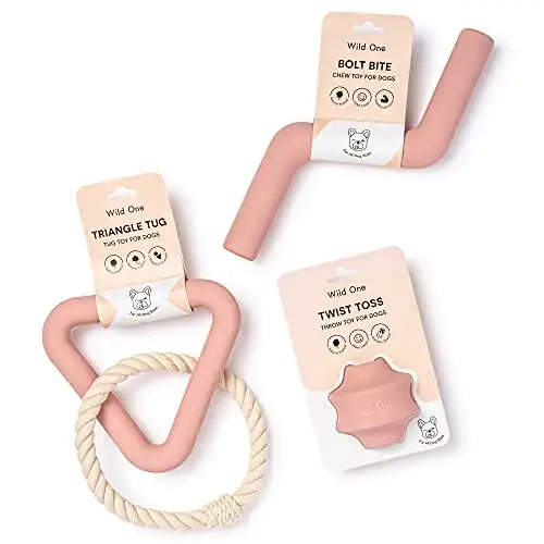 Peachy Dog Toy Kit