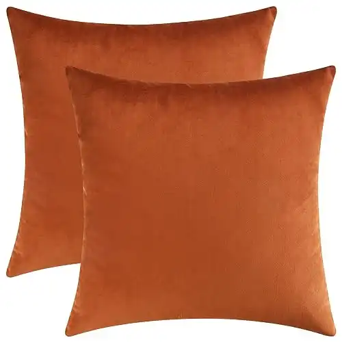 Cozy Velvet Throw Pillow Cover