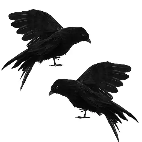 Creepy Realistic Crows