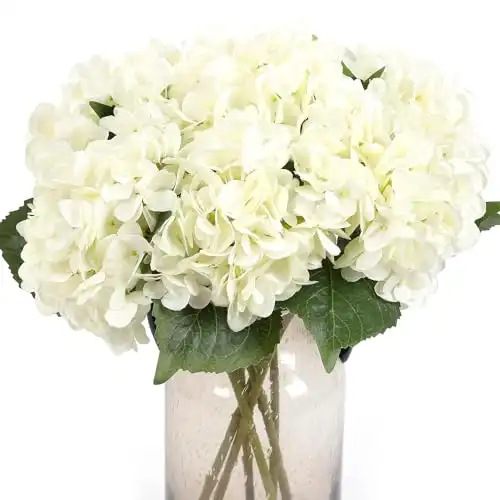 White Hydrangeas