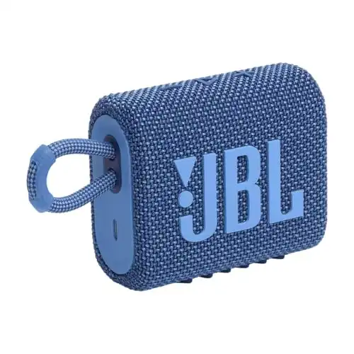 JBL Mini Speaker