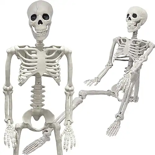 36" Skeleton Movable Joints