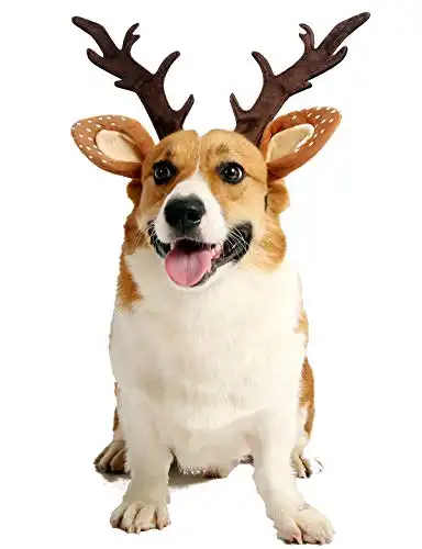 Deer Costume Dog