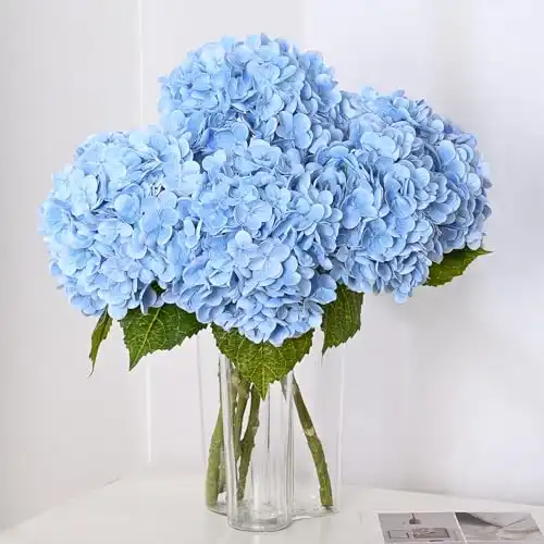 Blue Hydrangea Flowers