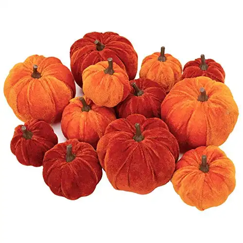 Velvet Pumpkins