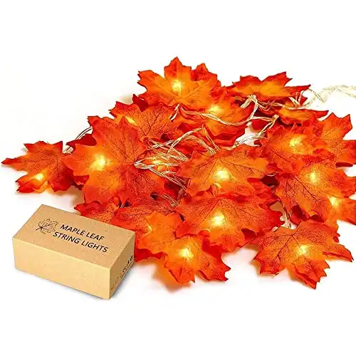 Maple Leaves Fairy Lights