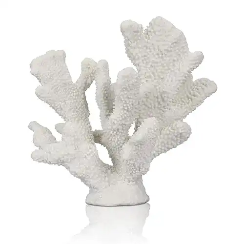 White Coral Decor