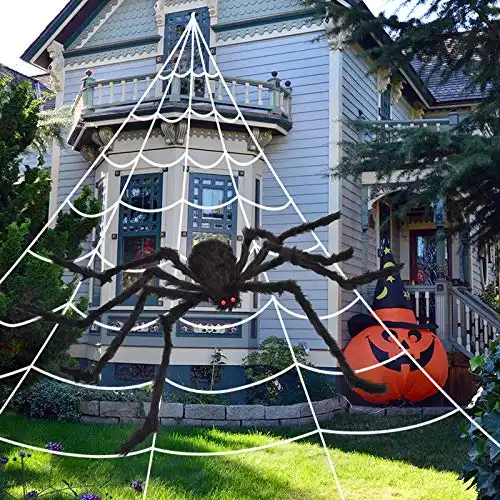 Triangular Huge Spider Web