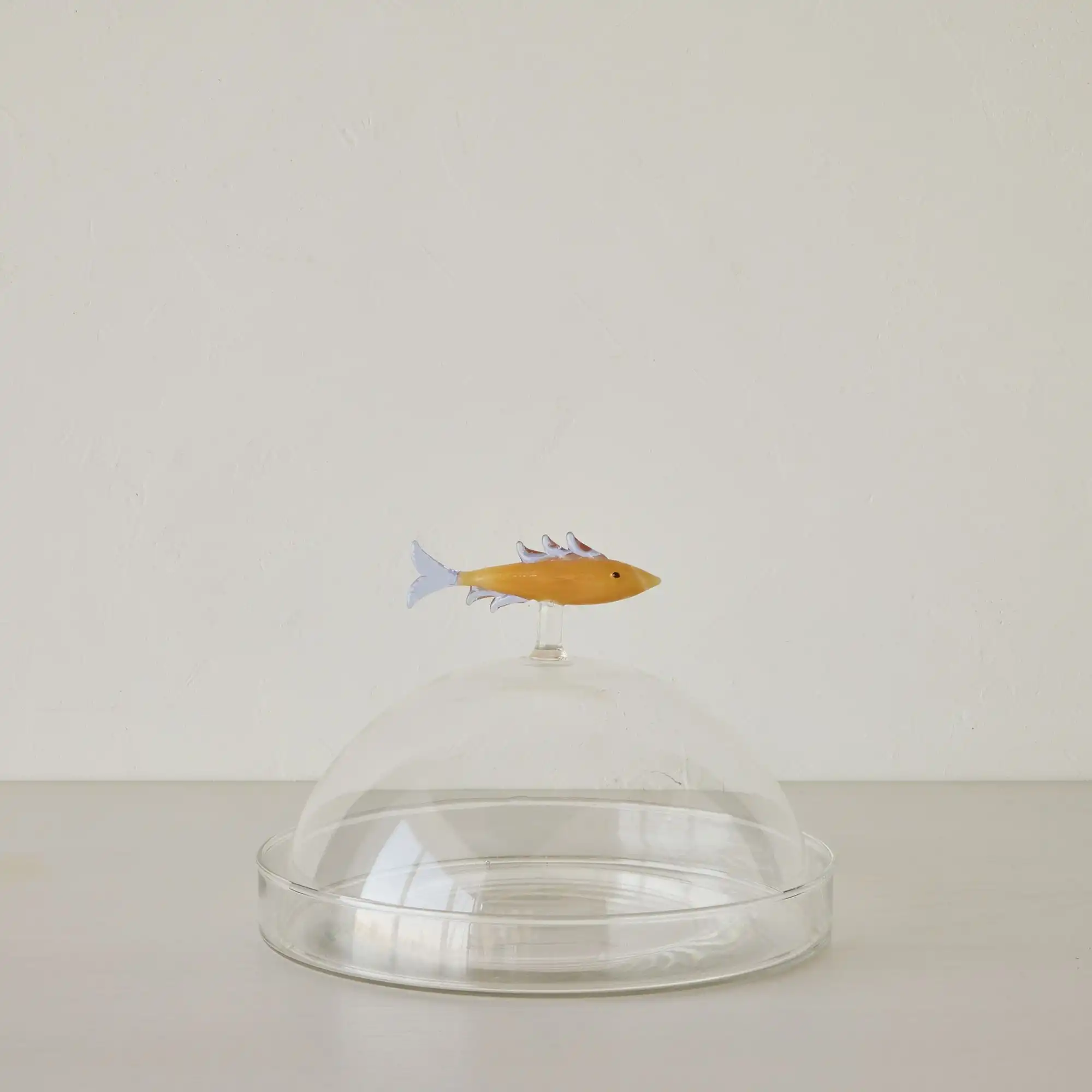 Sardine Glass Cloche