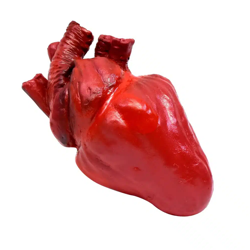 Fake Human Heart