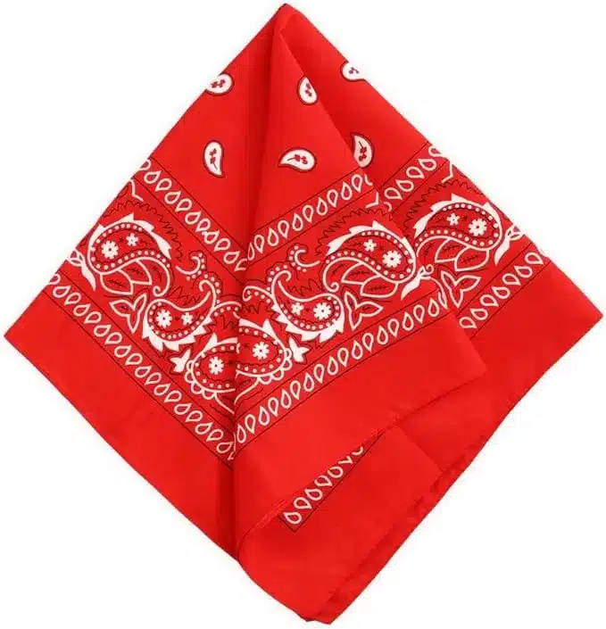 Paisley Bandana