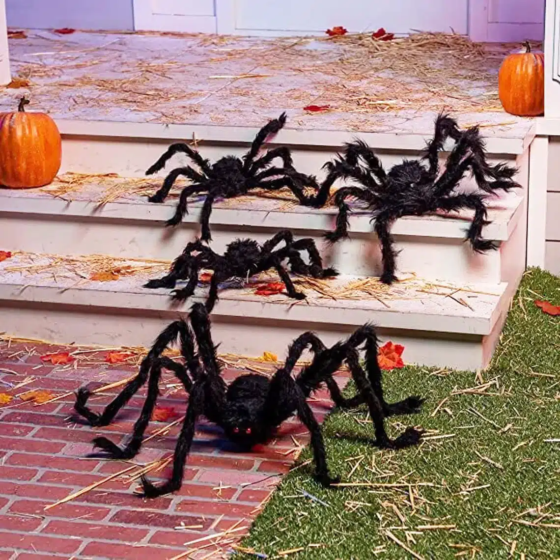 Hairy Scary Spiders