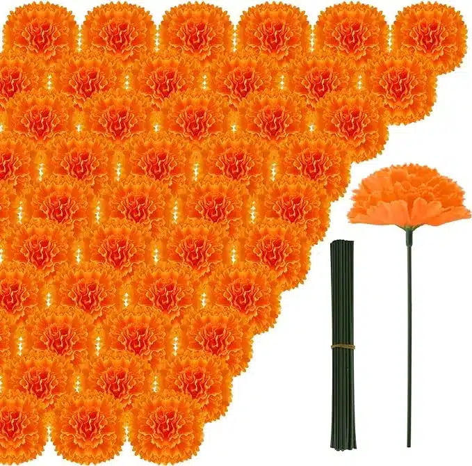 Marigold Flower Heads