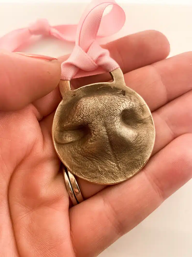 Pet Nose Print Ornament