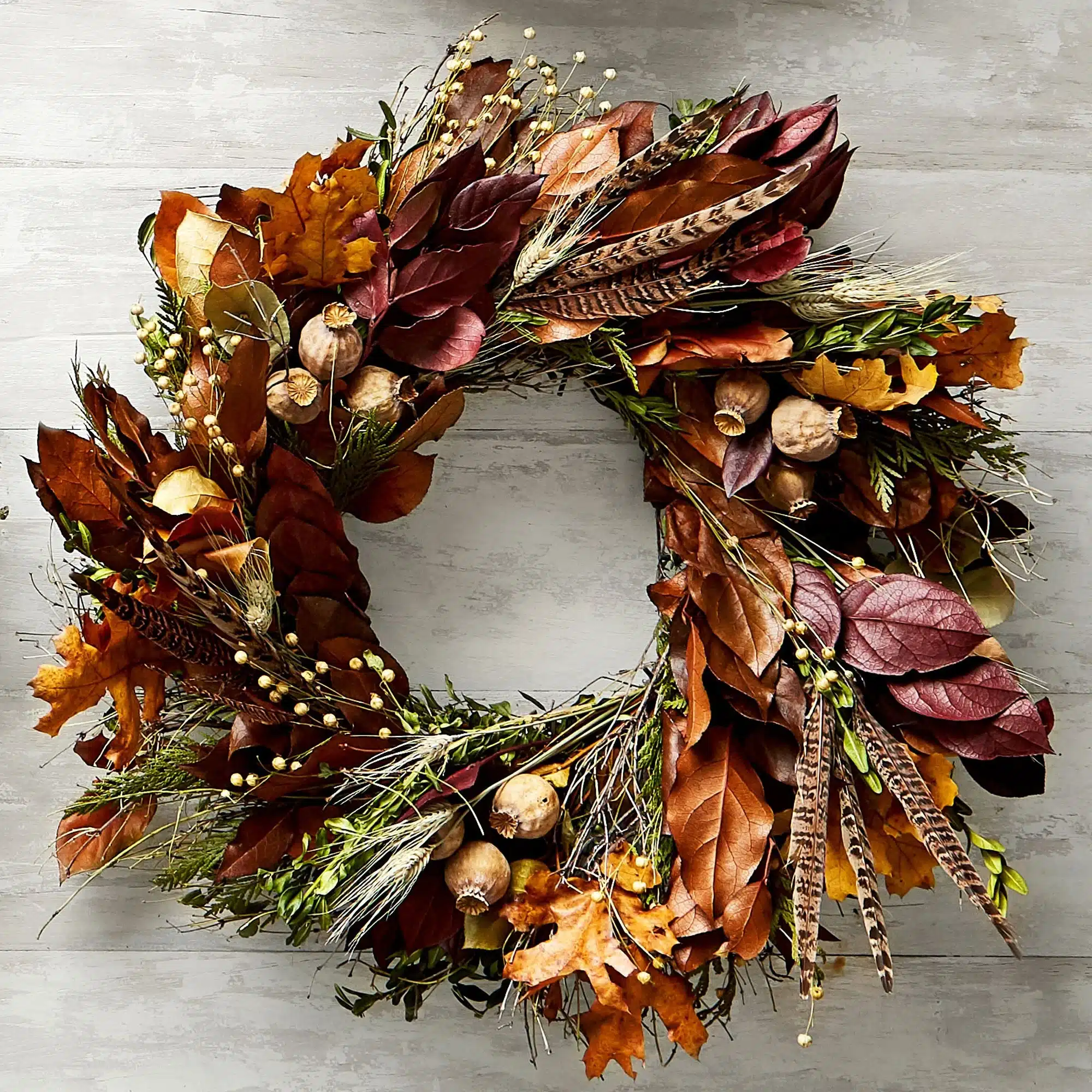 Pheasant Feather Wreath