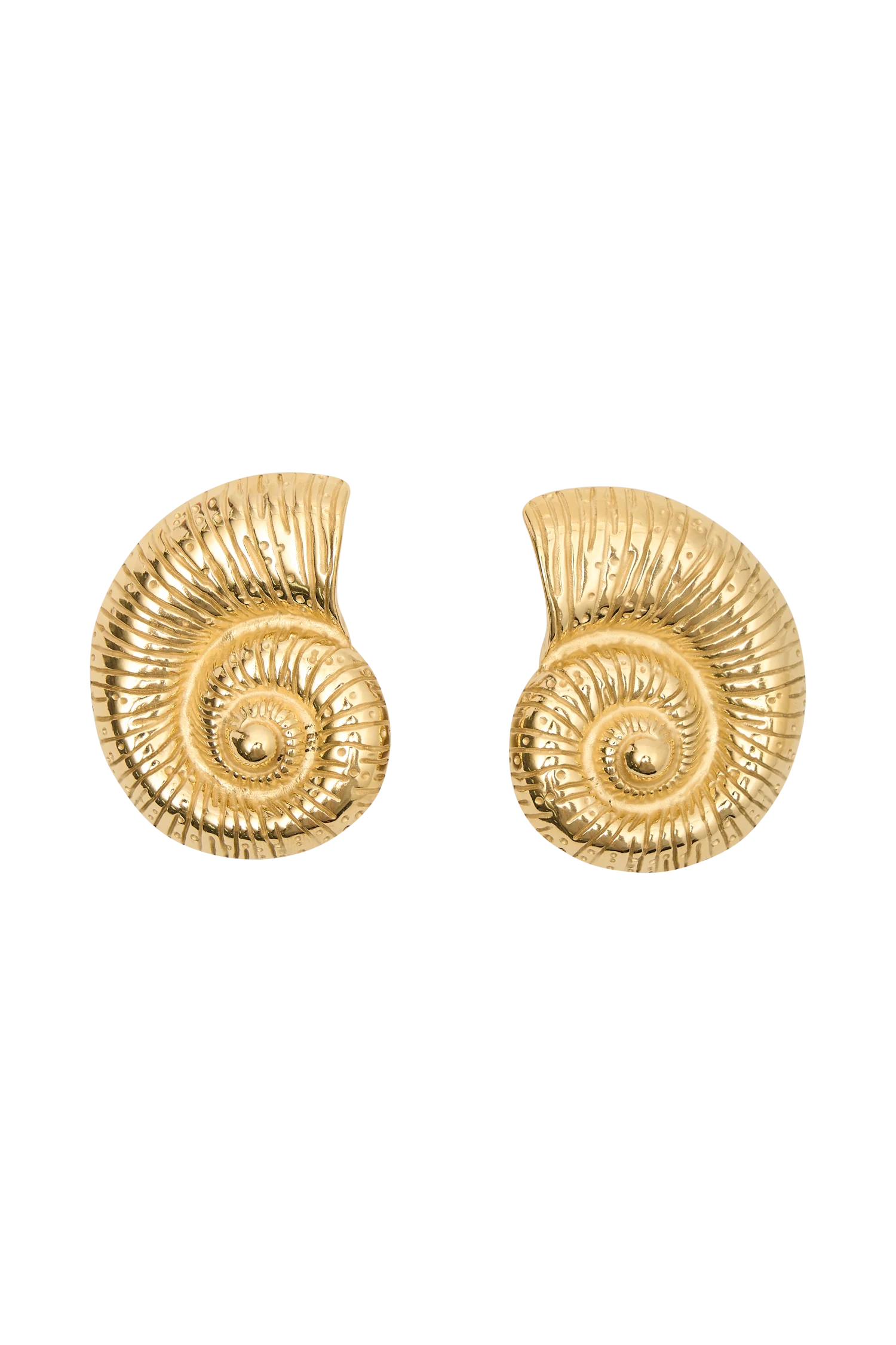 Shell Earrings